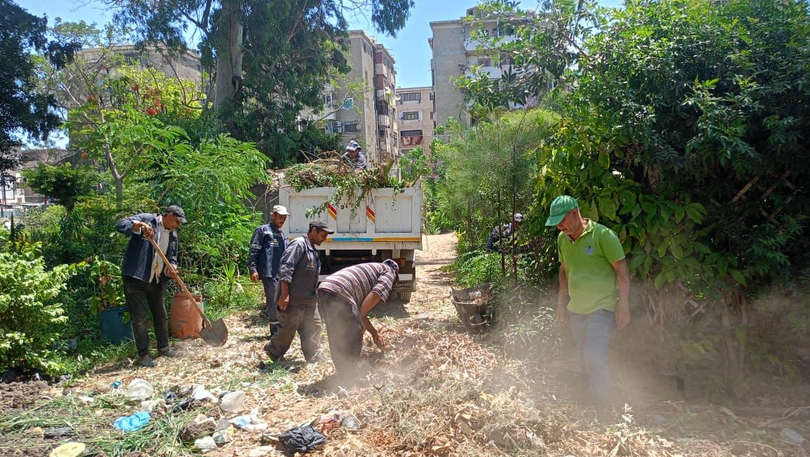 رفع المخلفات بأحياء دسوق رفع المخلفات بأحياء دسوق