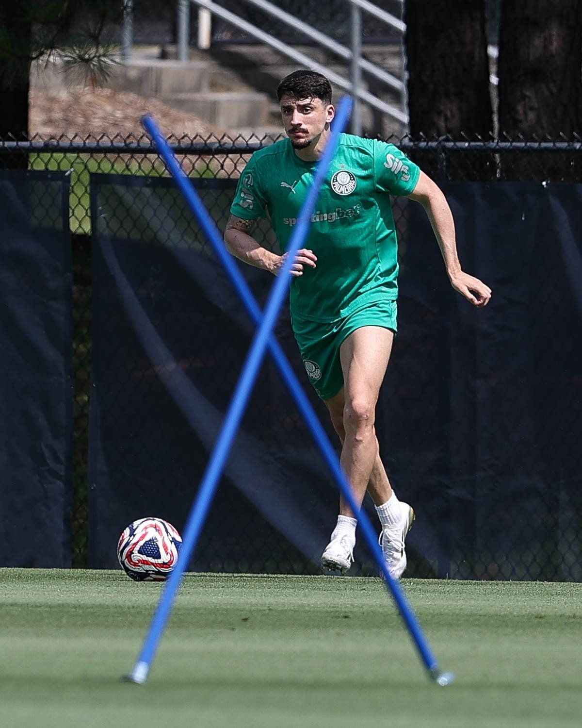 مران بالميراس البرازيلي استعدادا لمباراة الأهلي في كأس العالم للأندية (5) مران بالميراس البرازيلي استعدادا لمباراة الأهلي في كأس العالم للأندية (5)