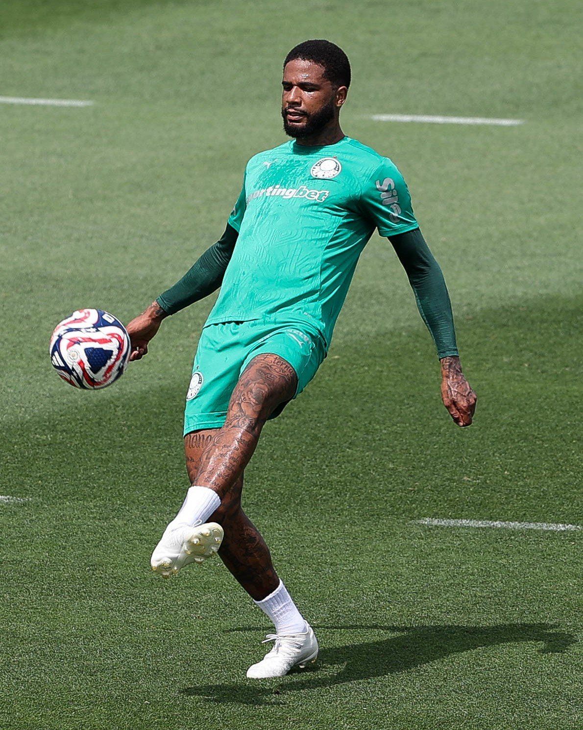مران بالميراس البرازيلي استعدادا لمباراة الأهلي في كأس العالم للأندية (2) مران بالميراس البرازيلي استعدادا لمباراة الأهلي في كأس العالم للأندية (2)