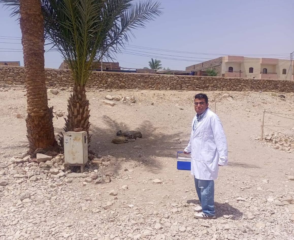 فرق من الطب البيطري تحصن الكلاب الضالة في منطقة تمثالى ممنون الأثرية فرق من الطب البيطري تحصن الكلاب الضالة في منطقة تمثالى ممنون الأثرية