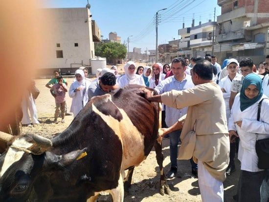 جانب من القافلة البيطرية جانب من القافلة البيطرية