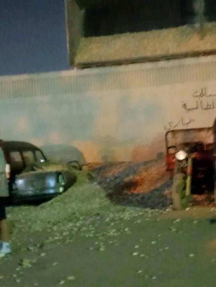 1e636d34c3.jpg