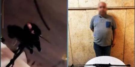 الداخلية تضبط المتهم بإطلاق أعيرة رش على الكلاب.. فيديو