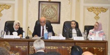 "تعليم النواب" تؤكد أهمية تعظيم الفكر الاستثماري بالجامعات وربطها بسوق العمل