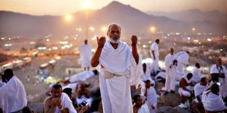 الدكتور أحمد رزق: رعاية طبية متواصلة لحجاجنا في الأراضي المقدسة - تكنو بلس