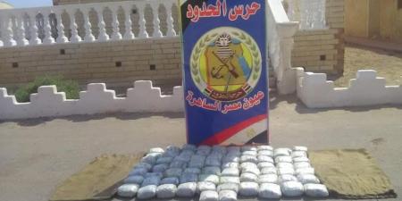 نشاط مكثف لقوات حرس الحدود على كافة الاتجاهات الاستراتيجية للدولة - تكنو بلس