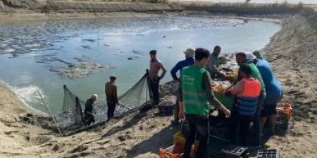 الحبس والغرامة حال الإضرار بنشاط الصيد والثروة السمكية وفقا للقانون