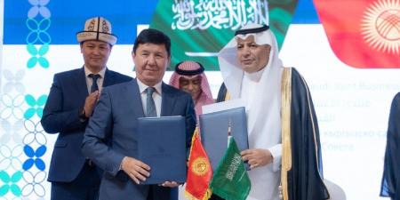 السعودية وقيرغيزستان تعلنان إنشاء مجلس أعمال مشترك - تكنو بلس