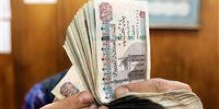 700
      جنيه
      زيادة
      في
      المرتبات
      ومنحة
      للعاملين
      بشركات
      قطاع
      الأعمال
      والمعاشات
      أول
      يوليو..
      تفاصيل
      قانون
      العلاوة
      والحافز
      الاضافي - تكنو بلس