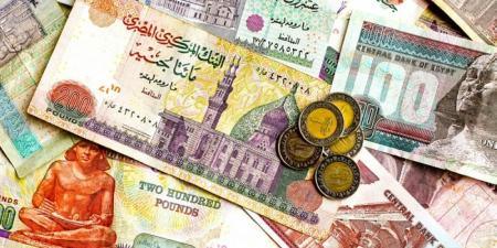 المركزي المصري يخفض سعر الفائدة للمرة الثانية خلال شهرين - تكنو بلس