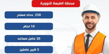 وزير العمل يعلن فرص عمل فى مشروع محطة الضبعة النووية - تكنو بلس