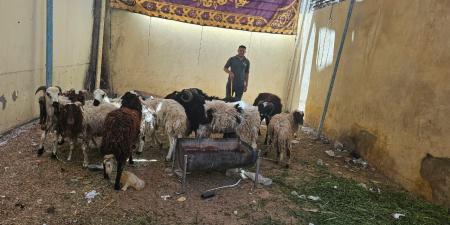 تموين
الأقصر
يستعد
مبكرا
لعيد
الأضحى
المبارك
من
خلال
٩
قرارات - تكنو بلس