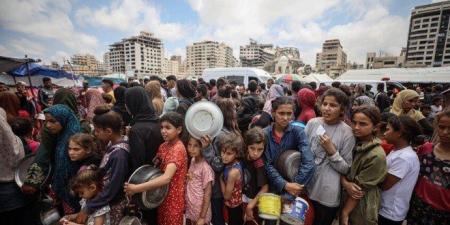 "الأونروا":
      غزة
      بحاجة
      إلى
      600
      شاحنة
      مساعدات
      يوميًا
      لتفادي
      كارثة
      إنسانية - تكنو بلس