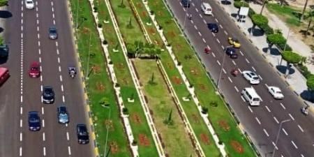 محافظة الإسكندرية: الانتهاء من تخطيط ميادين الإبراهمية والغزالتين وساعة الزهور