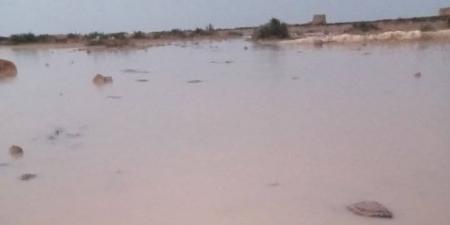 امطار
رعدية
علي
غرب
محافظة
مطروح - تكنو بلس