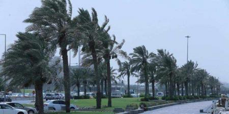 طقس
      قطر
      اليوم
      السبت..
      الأرصاد
      الجوية
      تحذر
      من
      رياح
      قوية
      على
      الساحل
      وفي
      عرض
      البحر - تكنو بلس