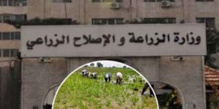 بيان رسمي.. «الزراعة» تكشف حقيقة بيع المبنى القديم للوزارة لمستثمر خليجي - تكنو بلس