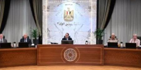 قرار جديد من مجلس الوزراء بشأن تعريفة التغذية الكهربائية لمشروعات توليد الطاقة - تكنو بلس