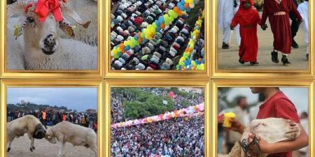 طقوس
الاحتفال
بعيد
الأضحى
حول
العالم! - تكنو بلس