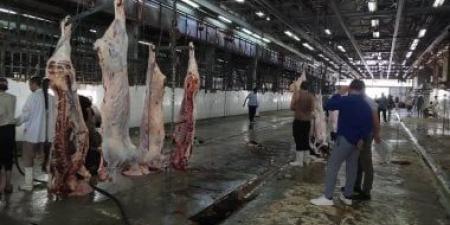 احذر.. القانون يعاقب ذبح الأضاحى خارج المجازر الرسمية بالحبس سنة