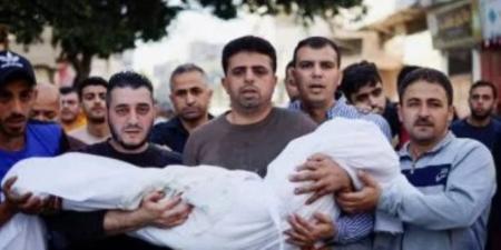 17 شهيدا جراء هجمات الاحتلال على خان يونس ورفح الفلسطينية - تكنو بلس