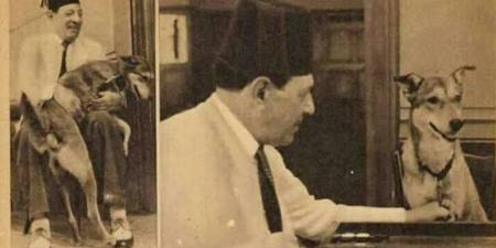 نجيب
الريحانى
أغلق
المسرح
3
أيام
ورفض
التمثيل
بسبب
وفاة
كلبته - تكنو بلس