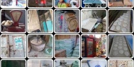 تموين
القليوبية
تحرر
396
محضرا
ومخالفة
خلال
حملات
على
الاسواق - تكنو بلس