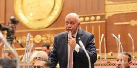 النائب حازم الجندى: جماعة الإخوان لا تزال تراهن على الشائعات لهدم الدولة