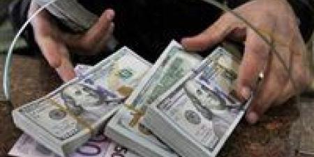 ضبط
      قضايا
      اتجار
      بالعملات
      الأجنبية
      بقيمة
      22
      مليون
      جنيه
      خلال
      24
      ساعة - تكنو بلس