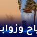 أمطار
رعدية
وزوابع
رملية
عبر
هذه
الولايات - تكنو بلس