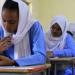 ظهور
      نتيجة
      الشهادة
      السودانية
      2025
      رسميًا..
      رابط
      مباشر
      وخطوات
      الاستعلام
      الصحيحة - تكنو بلس