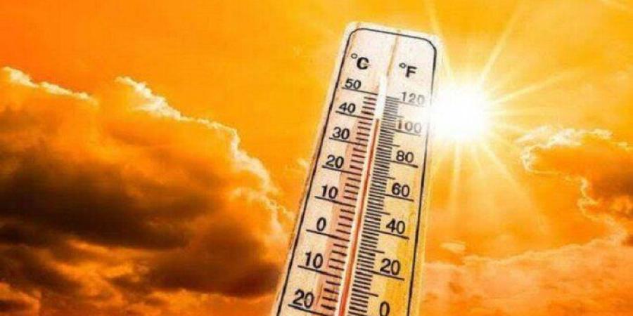 الأرصاد:
      الطقس
      غدا
      معتدل
      نهارًا
      مائل
      للبرودة
      ليلا..
      والعظمى
      بالقاهرة
      25 - تكنو بلس