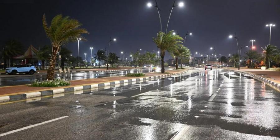 طقس الباحة.. هطول أمطار متفرقة من متوسطة إلى خفيفة - تكنو بلس