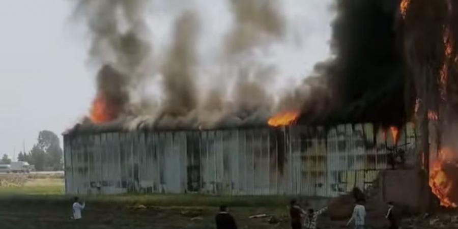 السيطرة على حريق شونة قطع غيار سيارات بطريق أجا القاهرة بالدقهلية.. صور