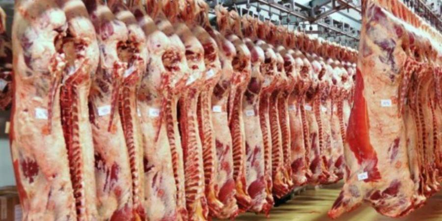 وزير التموين: شوادر عيد الأضحى لتوفير الخراف الحية واللحوم بدءا من 20 مايو - تكنو بلس