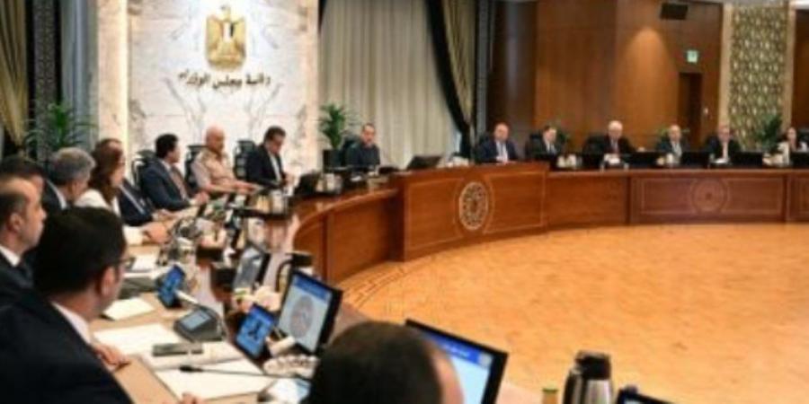 الحكومة توافق على لائحة صندوق تحسين الخدمة بمستشفيات ومراكز الصحة النفسية - تكنو بلس