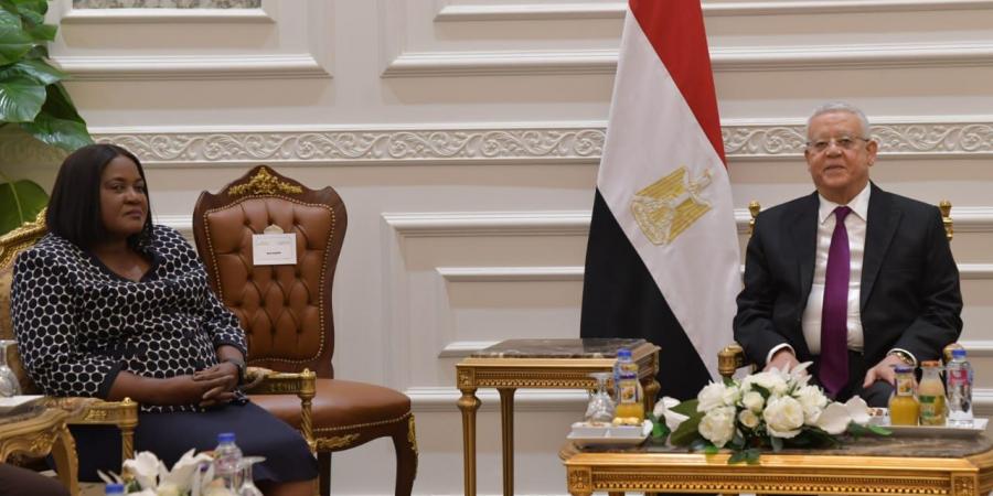 رئيس مجلس النواب يؤكد موقف مصر الثابت من القضية الفلسطينية
