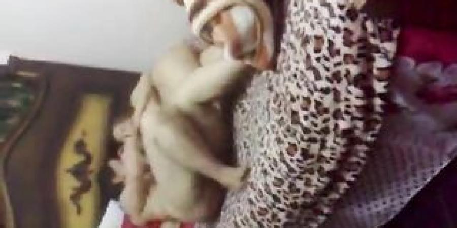 سكس مصري - فيلم سكس سحاق مصرى جامد لاتنين شراميط بجسم مربرب ملبن – xnxx – xnxx egyptian - سكس عربى - سكس مصرى طويل - سكس مصرى بلدى - arab sex - سكس العرب - تكنو بلس