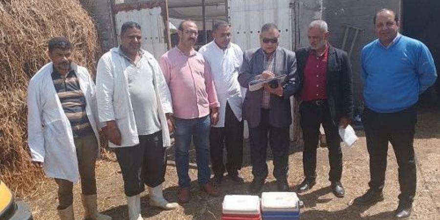 تحصين191ألف
رأس
ماشية
ضد
الحمى
القلاعية
والوادي
المتصدع
بالدقهلية - تكنو بلس