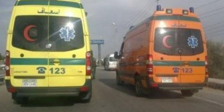 إصابة شابين بإصابات بالغة فى مشاجرة بالدقهلية