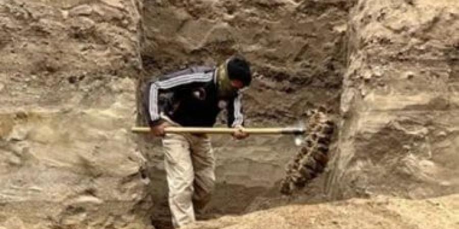 حبس وغرامة مليون جنيه حال إصدار ترخيص بإقامة محجر على أرض زراعية
