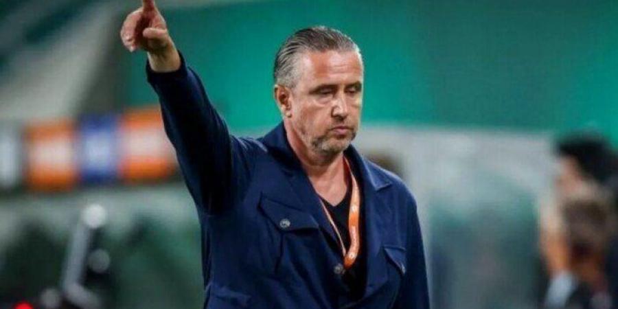 ريجيكامف:
      تدريب
      الزمالك
      شرف
      كبير - تكنو بلس