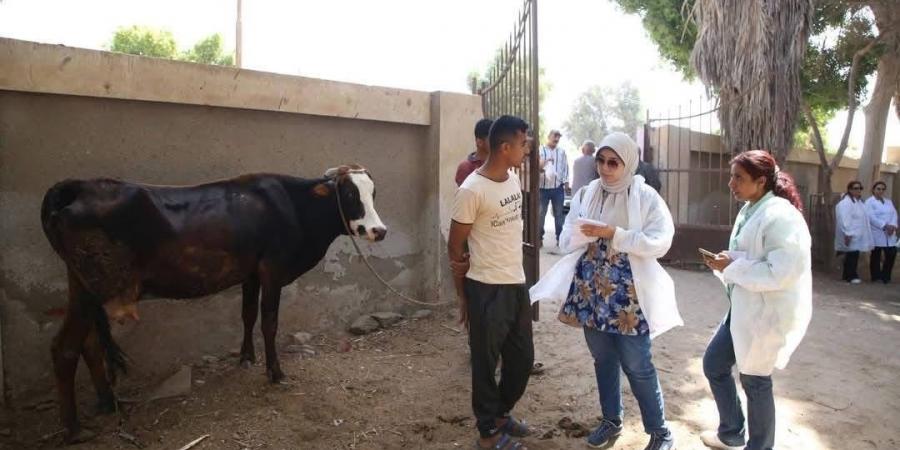 قافلة
جامعة
الفيوم
..
البيطرية
تعالج
1045
ماشية
قرية
الأعلام - تكنو بلس