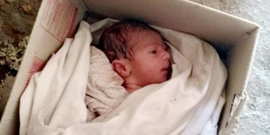 ضبط
      سيدة
      أنجبت
      مولوداً
      داخل
      حمام
      محطة
      قطارات
      طنطا
      وفرت
      هاربة - تكنو بلس