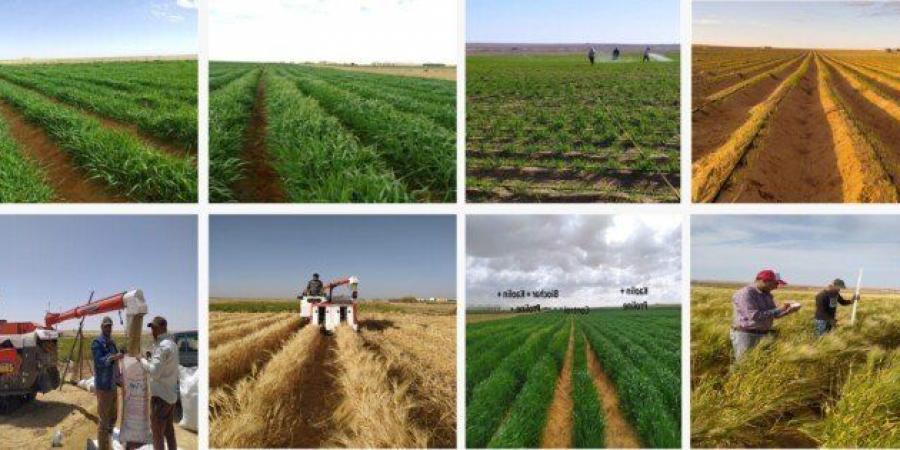 أكاديمية
      البحث
      العلمي
      تطلق
      المرحلة
      الثانية
      من
      المزرعة
      البحثية
      النموذجية
      بالمغرة - تكنو بلس