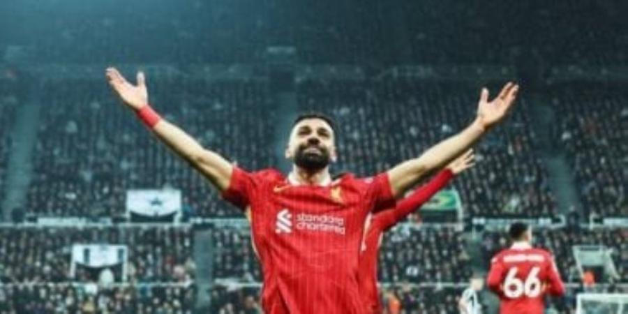 تعرف علي موعد مباراة برايتون ضد ليفربول في الدوري الإنجليزي - تكنو بلس