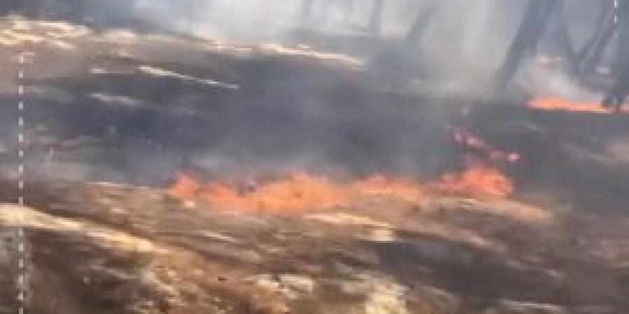 بالفيديو
      ..
      حريق
      يلتهم
      أحراش
      سحم
      ..
      ورئيس
      بلدية
      الشعلة
      يستنجد
      بالأهالي
      لإخماده - تكنو بلس
