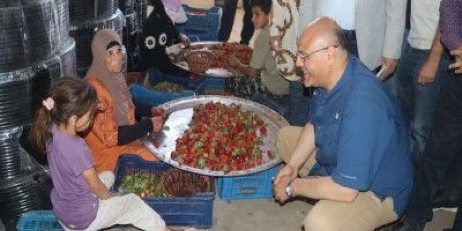 محافظ
القليوبية:
الدولة
تسعى
جاهدة
للوقوف
بجانب
المزارع
وتقديم
الدعم
الكامل
له - تكنو بلس