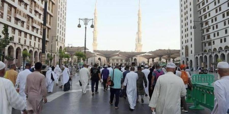 وصول 9 حافلات.. المدينة المنورة تستقبل طلائع حجاج مصر وإندونيسيا - تكنو بلس