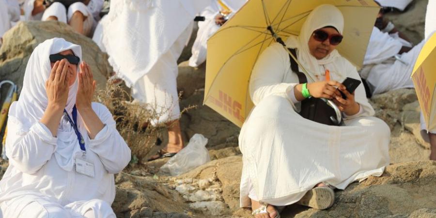 رئيس بعثة الحج المصرية: 78 ألف حاجة مصرى سيقفون على عرفات هذا الموسم - تكنو بلس